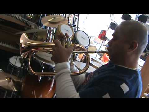 Berkeleywind Bb Rose Brass Flugelhorn ( Vertical Valves ) image 8