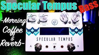Specular Tempus GFI System In Stereo On Bass! Ambient Bass Song ~Morning Coffee & Reverb~
