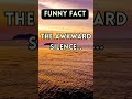 Mastering Awkward Silences: How Humor Turns Uncomfortable Pauses into Hilarious Moments