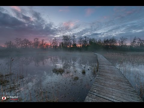 The making of Beekbergerwoud