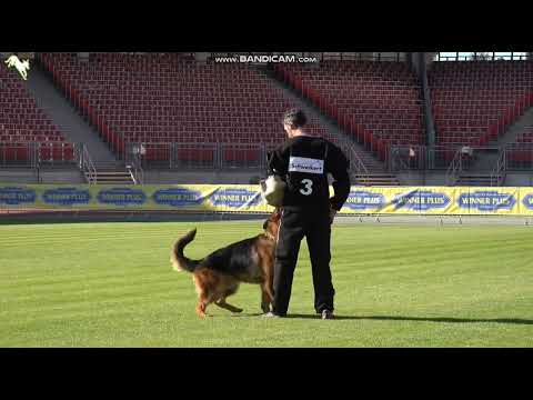 1066 L'orange di Casa Beggiato - TSB BSZS-2023