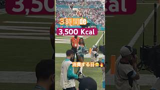NFLチアリーダーのgameday📣　#nfl #マイアミ #マイアミドルフィンズ #チアリーダー #アメフト #アメリカ生活