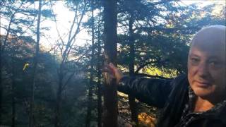 Story 3 - The Silver Cord of Life