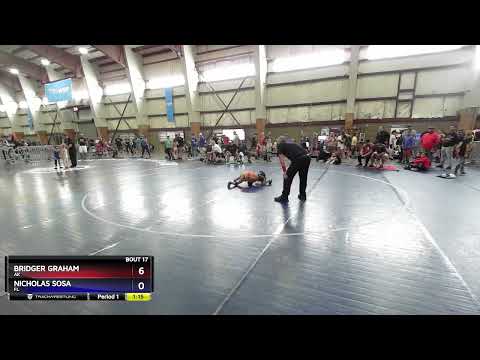 49 Lbs Quarterfinal - Bridger Graham, AK Vs Nicholas Sosa, FL 8459