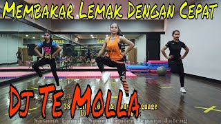 Download lagu Membakar lemak dengan cepat l Senam Aerobic Body language Fesya Sahara terbaru mp3
