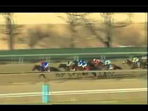 Keeneland Sales Graduate Spotlight: Wicked Strong