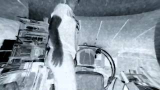 &quot;Wanna Get Hype&quot; Dance video.