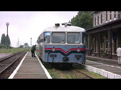 Schienenbus "Sinobus"  aus Serbien fährt im rumänischen Jimbolia ein 2009