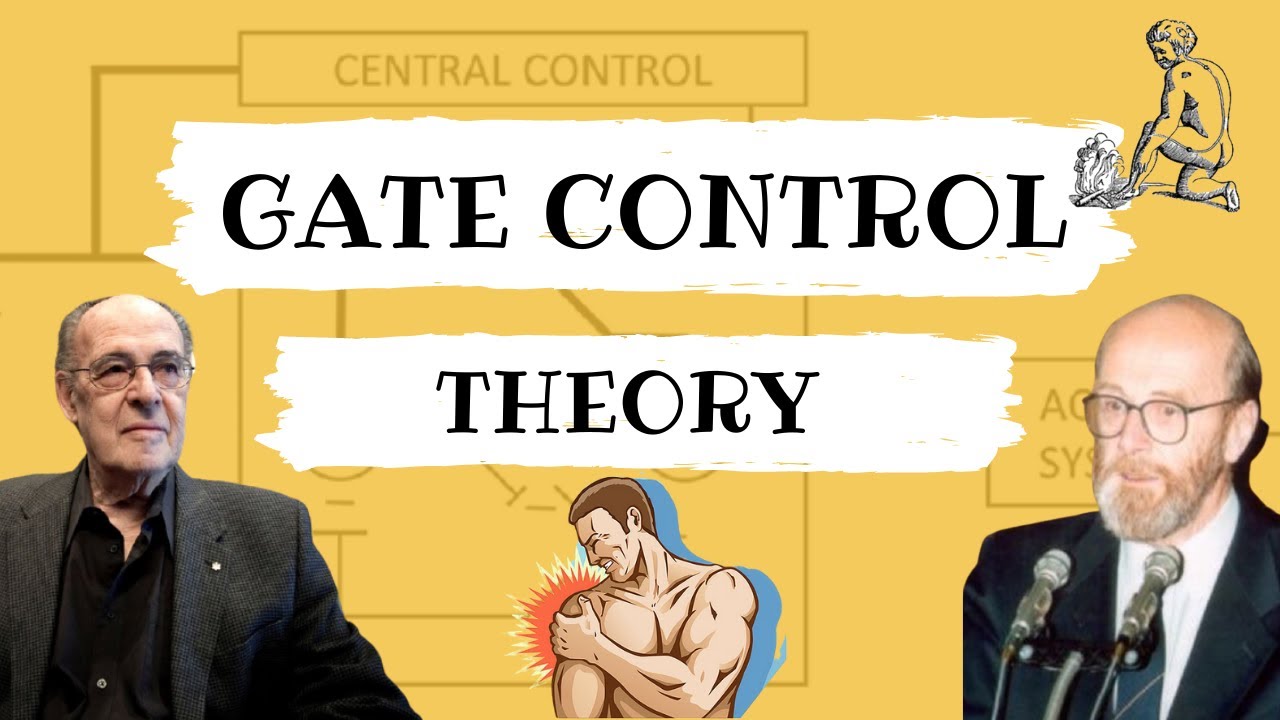 TEORÍA DE LA COMPUERTA DEL DOLOR