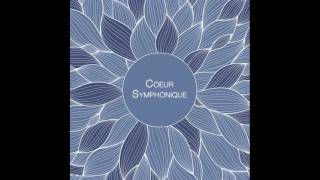 Cardiac coherence. Tool for the pratice of auditory cardiac coherence (by Anthony Doux)