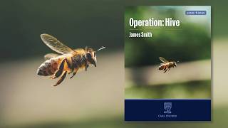 Operation: Hive