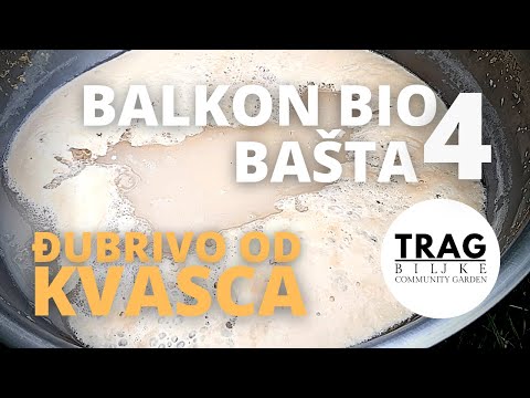 FERTILIZER FROM YEAST - BALCONY BIO GARDEN 4 (2021) [TRACE OF THE PLANT]