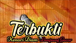 Download lagu Terbukti !! Cuitan kenari ini Ampuh Merangsang bunyi kenari macet - pancingan kenari stres macet mp3