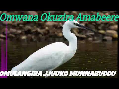 Omwana Okuzira Amabeere - Omulangira Jjuuko Munnabuddu