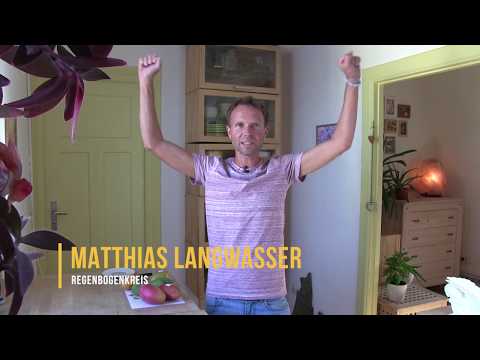 Delicious ripe mangos from permaculture cultivation | Rainbow Circle