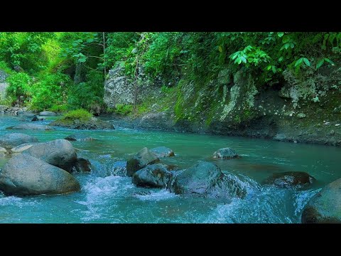 4K-HDR | Babbling Brook in a Tranquil Forest  for Cozy Sleep & Relaxation | Tranquil Water Ambience