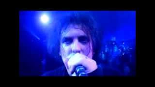 HappyBirthday - The Cure.flv