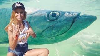 BITTEN BY A GIANT FISH!  - HUGE TARPON