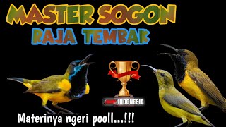Download lagu Langsung ngunci!!! MASTERAN SOGON FULL TEMBAKAN SUPER MEWAH‼️ mp3