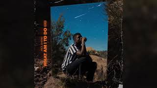 Mick Jenkins - What Am I To Do (Prod. KAYTRANADA)