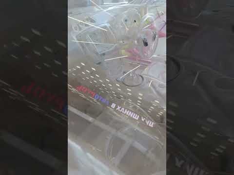 Full Glass car #shorts