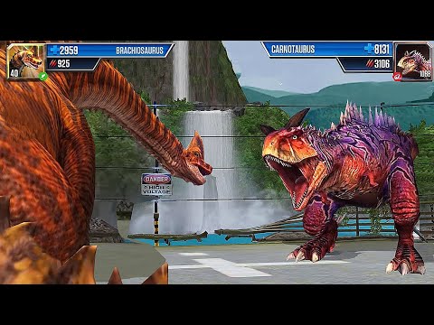 BRACHIOSAURUS VS CARNOTAURUS - DINOSAUR FIGHT || JURASSIC WORLD THE GAME