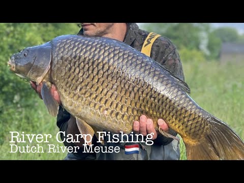 River Carp Fishing Vlog #11 Spring carp fishing on the river 2022 - Trilogy Finale (ENGLISH)