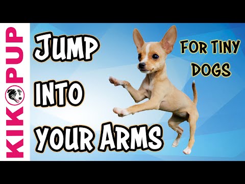 STOP UNWANTED behaviors with BACK UP