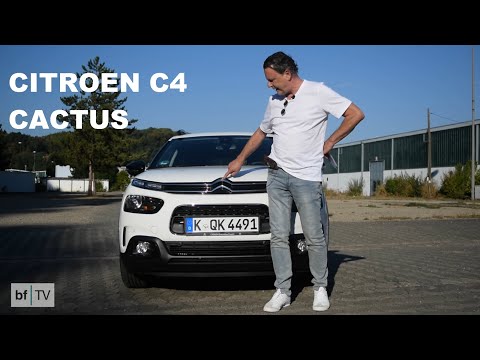 Die Kaktusblüte - Citroën C4 Cactus  I bf TV Autosteckbrief