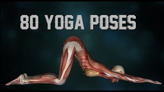 80 Yoga Poses w/ Names - Particle Background
