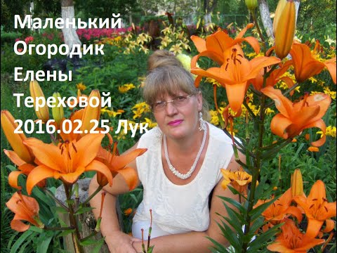 Маленький Огородик Елены Тереховой - 2016.02.25 Лук