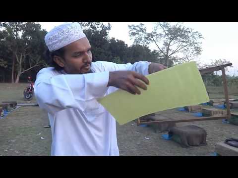 সরিষা ফসলে মধু উৎপাদনঃ তারুণ্য ও যৌবন ধরে রাখার সহজ উপায়, জানতে হলে দেখতে হবে