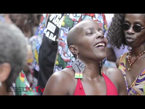 The Soul Summit Music Festival  @Forte Greene Park,Brooklyn, New York