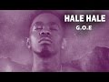 Patoranking Hale Hale Official Song Audio God Over Everything