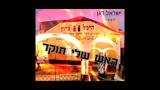 ישראל דגן – האש שלי תוקד! (הרב ישראל דגן) - התמונה מוצגת ישירות מתוך אתר האינטרנט יוטיוב. זכויות היוצרים בתמונה שייכות ליוצרה. קישור קרדיט למקור התוכן נמצא בתוך דף הסרטון