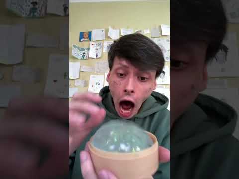 Dumpling Blue Secret 😱🤯