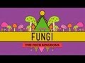 Fungi Death Becomes Them CrashCourse Biology 39
