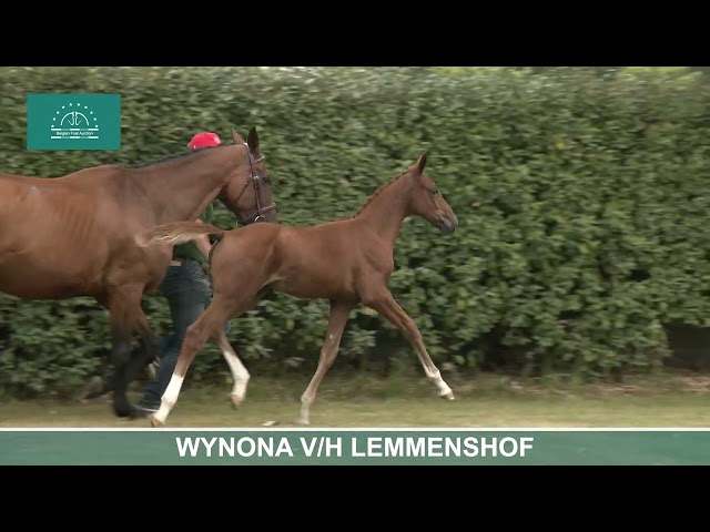 Wynona V/H Lemmenshof