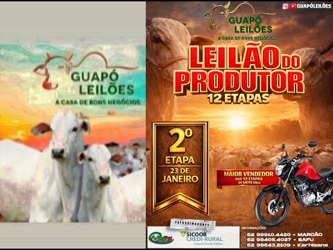 LEILÃO DE GADO EM GUAPÓ - GOIÁS 23/01/2026