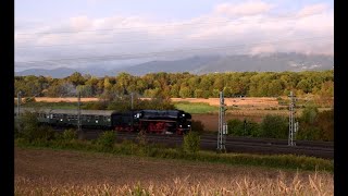 01 519 und TGV bei Urloffen