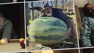 iPhone 15 - Relax it&#39;s iPhone - Don&#39;t Let Me Go