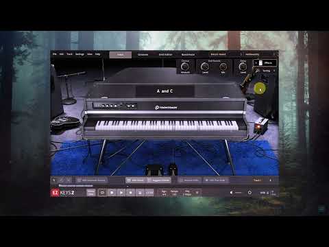 Toontrack  Electric Grand EKX