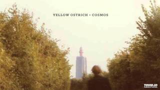Yellow Ostrich - Don't be afraid