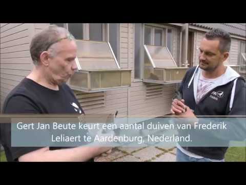 Video De thuiskomst ZLU Pau van De Schommel bij Frederik Leliaert (NL)