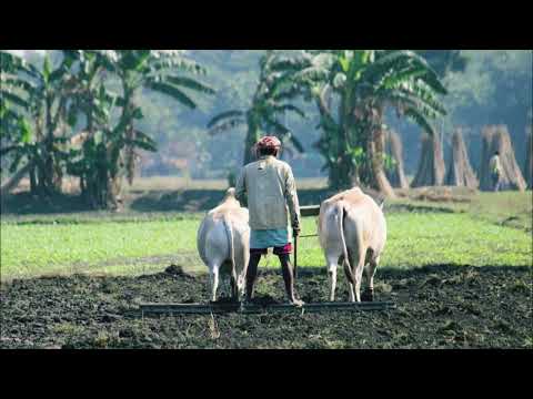 Peaceful Life Relaxing Music, Healing Music, Sleep Meditation, Khmer Flute Sound2022(Sleep Music)