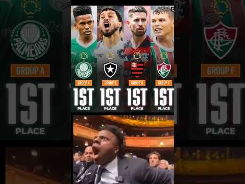 🚨 Brazilian team performance at Club worldcup 🔥🫡 #brasil #fifa #clubworldcup #palmeiras #botafogo