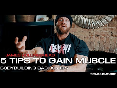 5 KEY TIPS TO GAIN MUSCLE Like a Pro!  - Bodybuilding Basics EP7