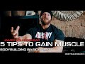 5 TIPS TO GAIN MUSCLE - James Hollingshead - Bodybuilding Basics EP7