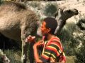 Chama Ni Mojangima Ni Malo By Belinder Owuor YouTube 360p
