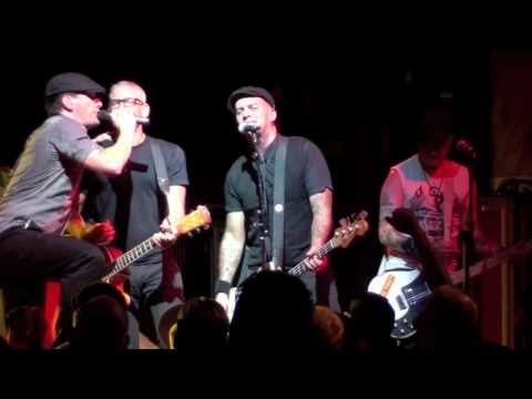 Street Dogs - 10 Wood Rd.